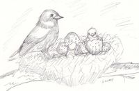 Babes in a nest